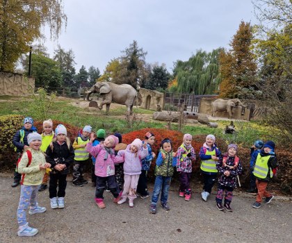 MATEŘSKÁ ŠKOLA V ZOO